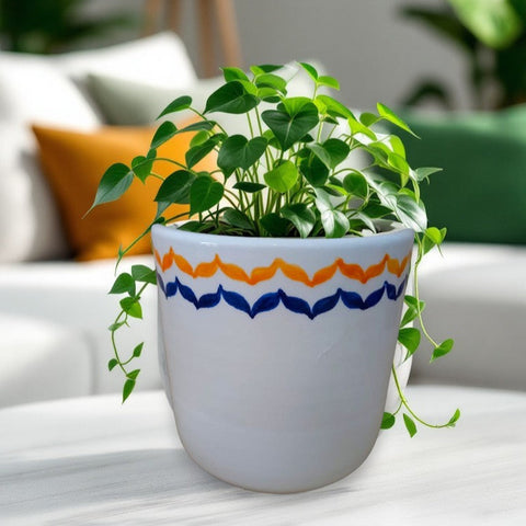 Indoor Plant Pot